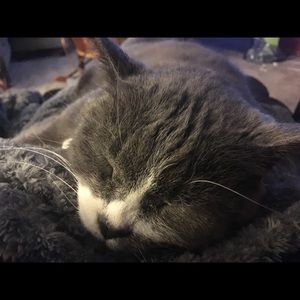 Meet your Posher, Tracy